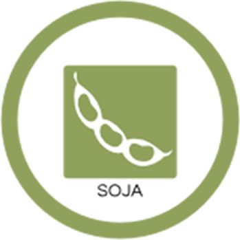 soja